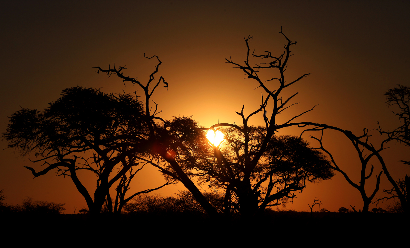 Botswana Savuti Nationalpark