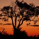 Botswana - Sonnenuntergang