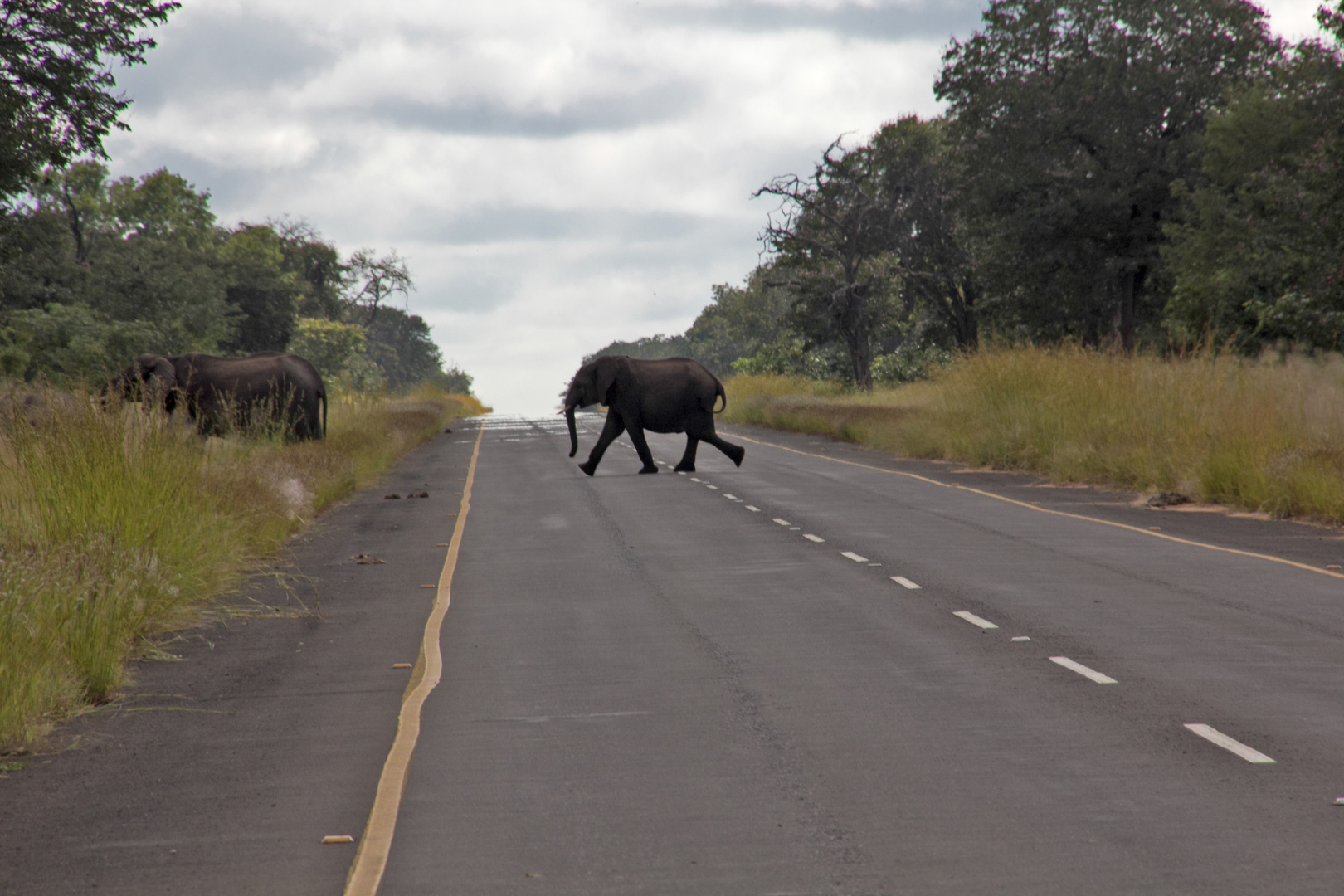 Botswana - unterwegs (1)