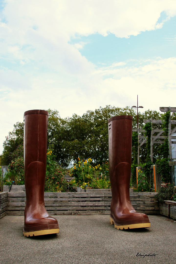 Bottes de géant 