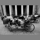 botticelle al Pantheon 