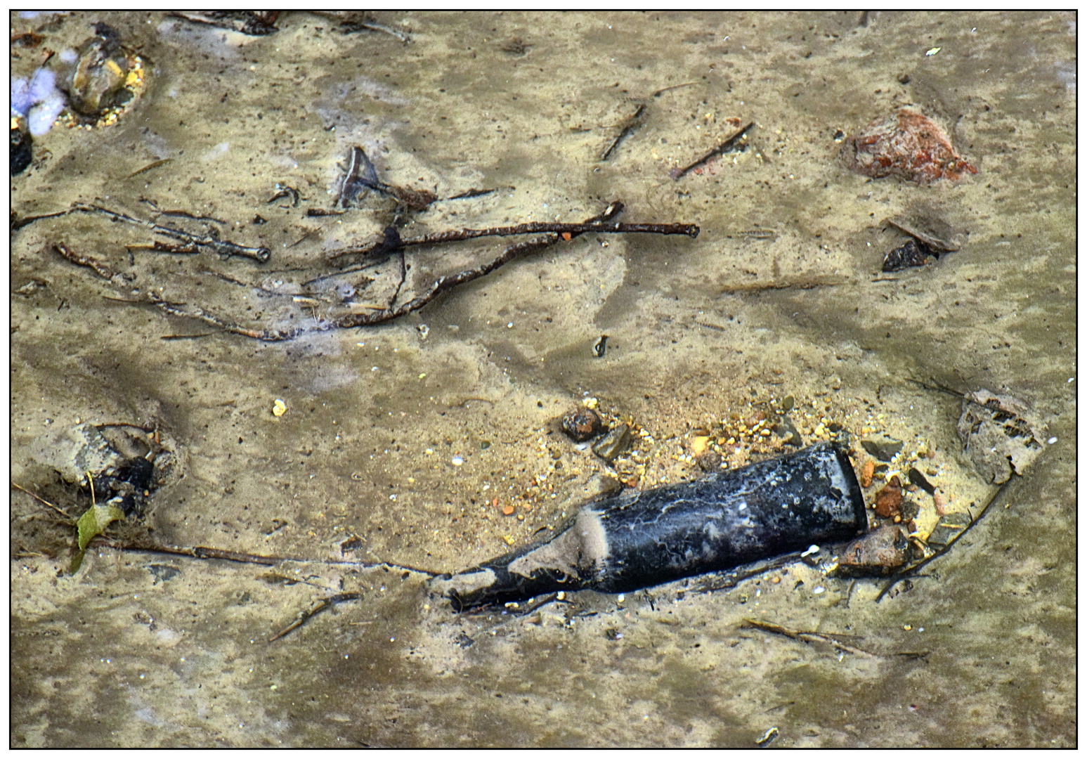 Bottle in the ditch