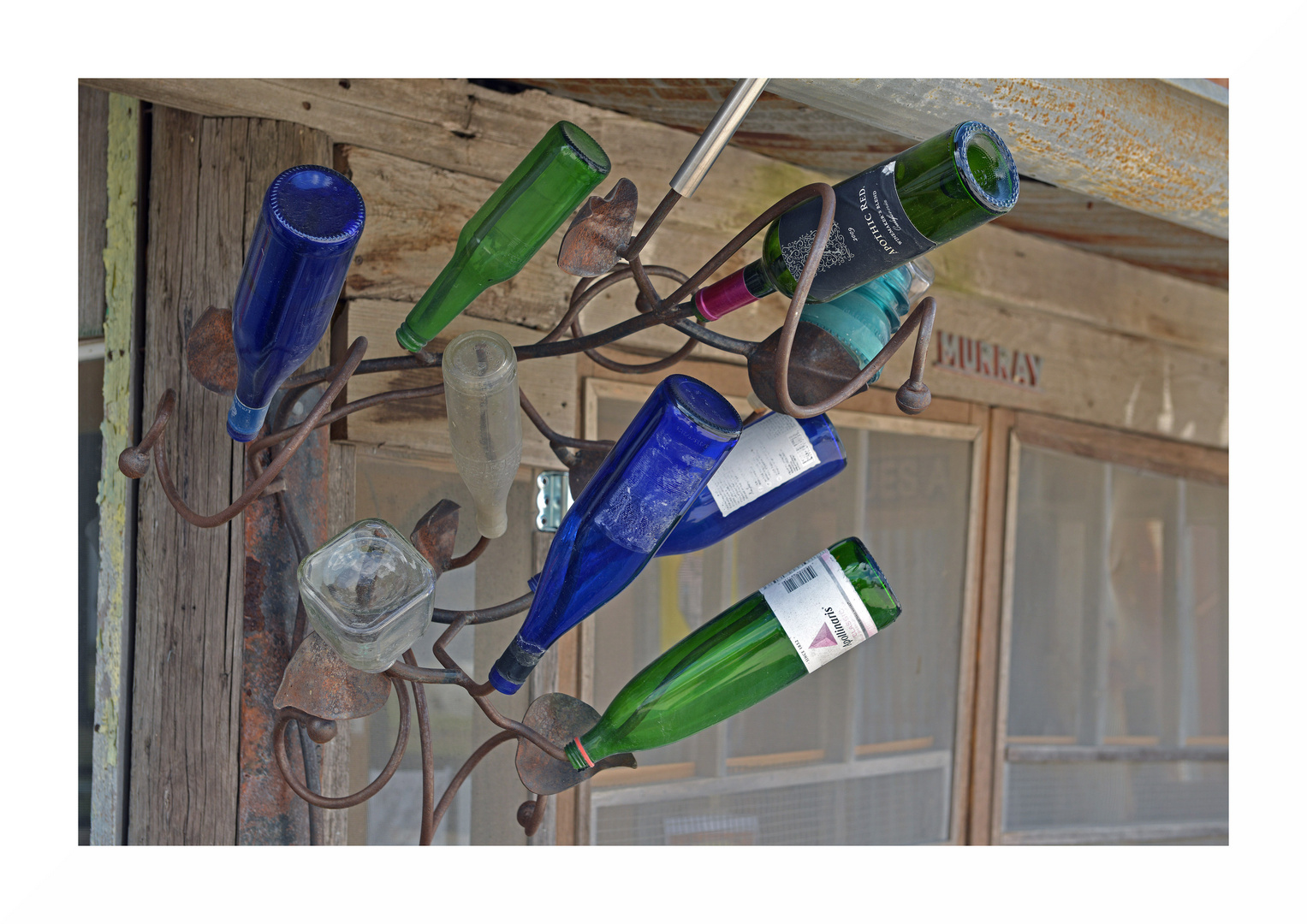 Bottle Tree