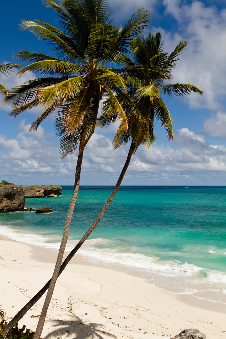 Bottom Bay Beach 1