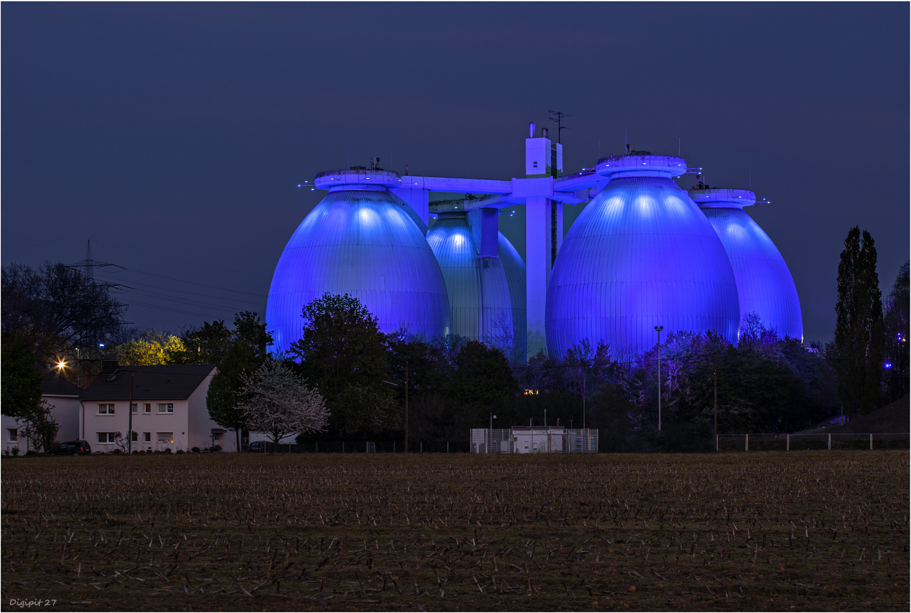 Bottrop Blaue Eier 2020-01