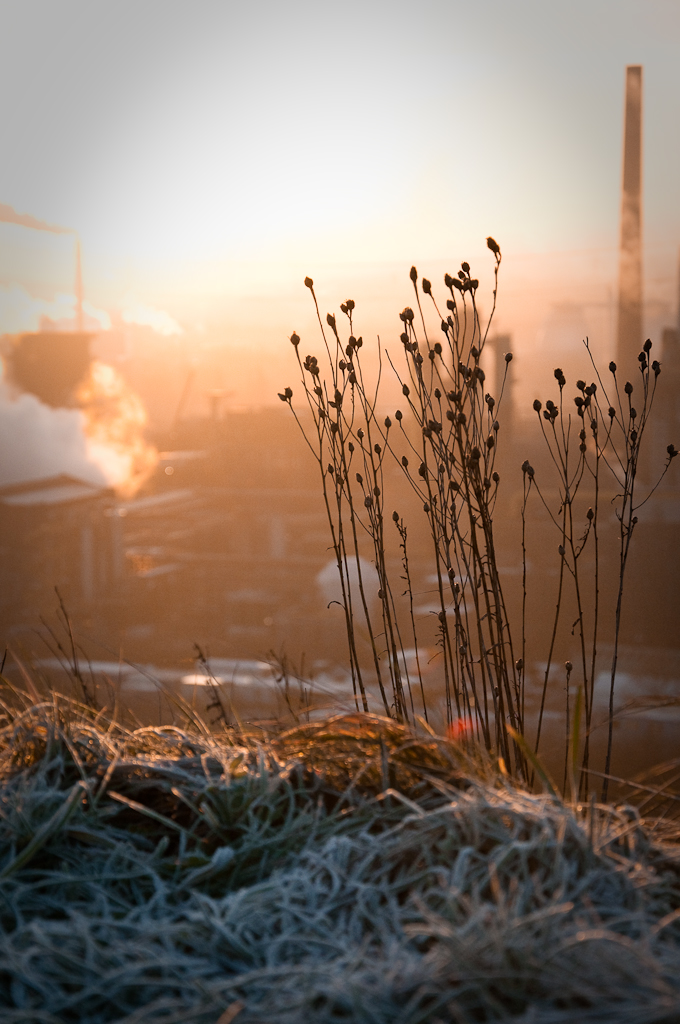 Bottrop Wintermorgen 2