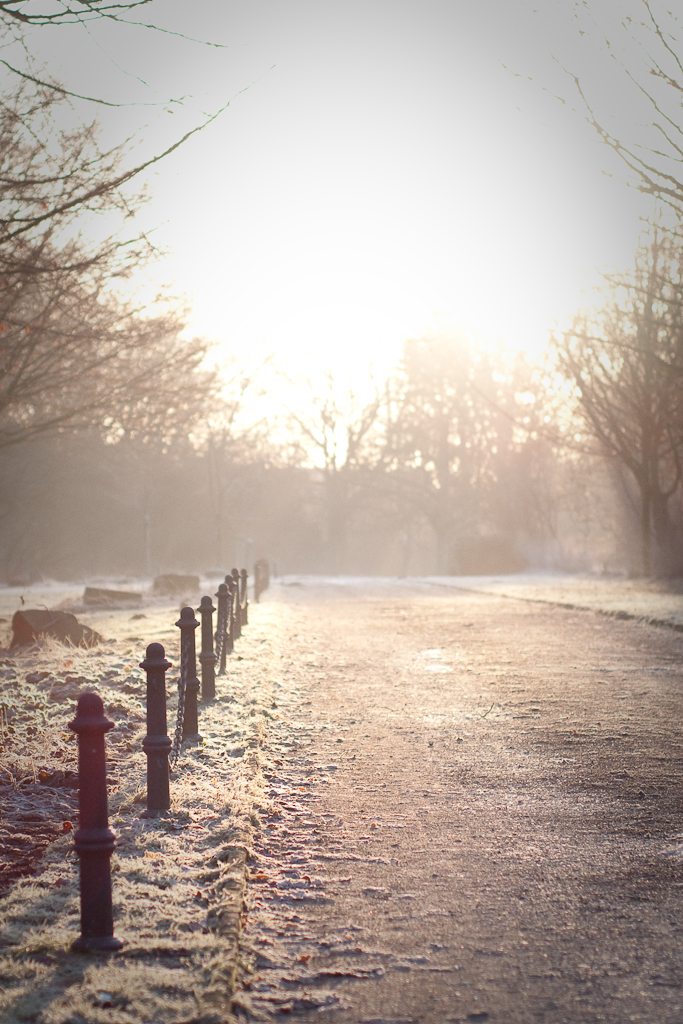 Bottrop Wintermorgen 3