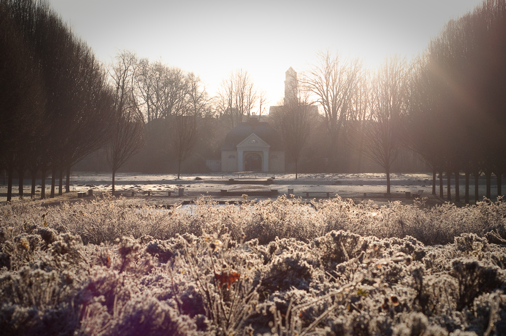 Bottrop Wintermorgen 5