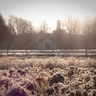 Bottrop Wintermorgen 5