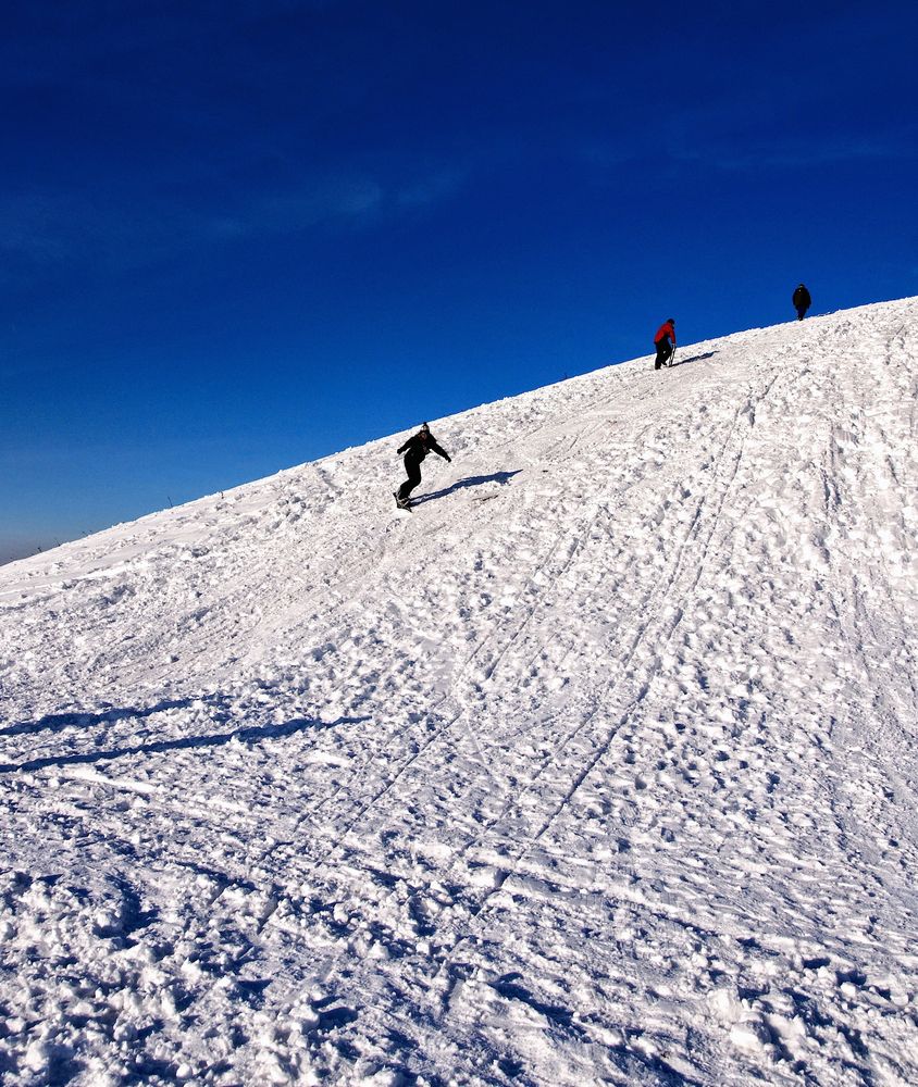 Bottroper Alpen