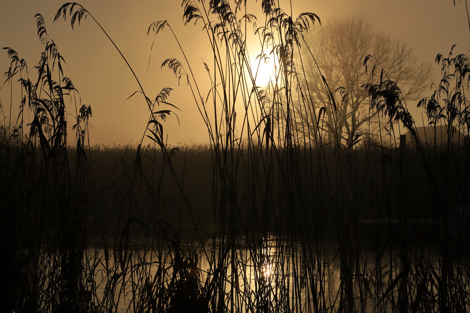 Bottschlotter See 281120_MG_1508