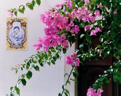 Bougainvilla & Azulejos, Algarve