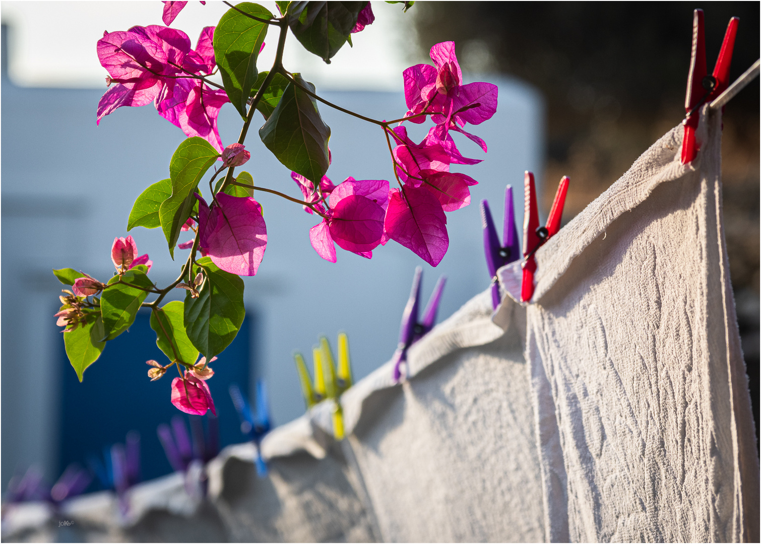 Bougainville