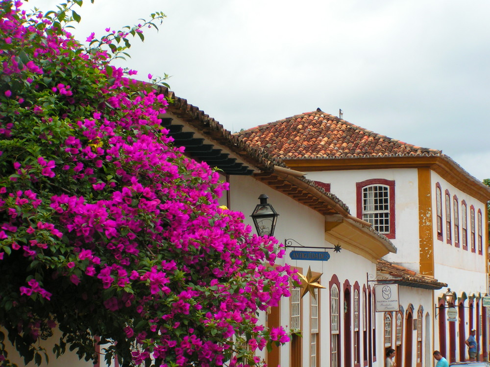 Bougainville and street