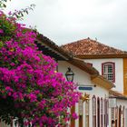 Bougainville and street