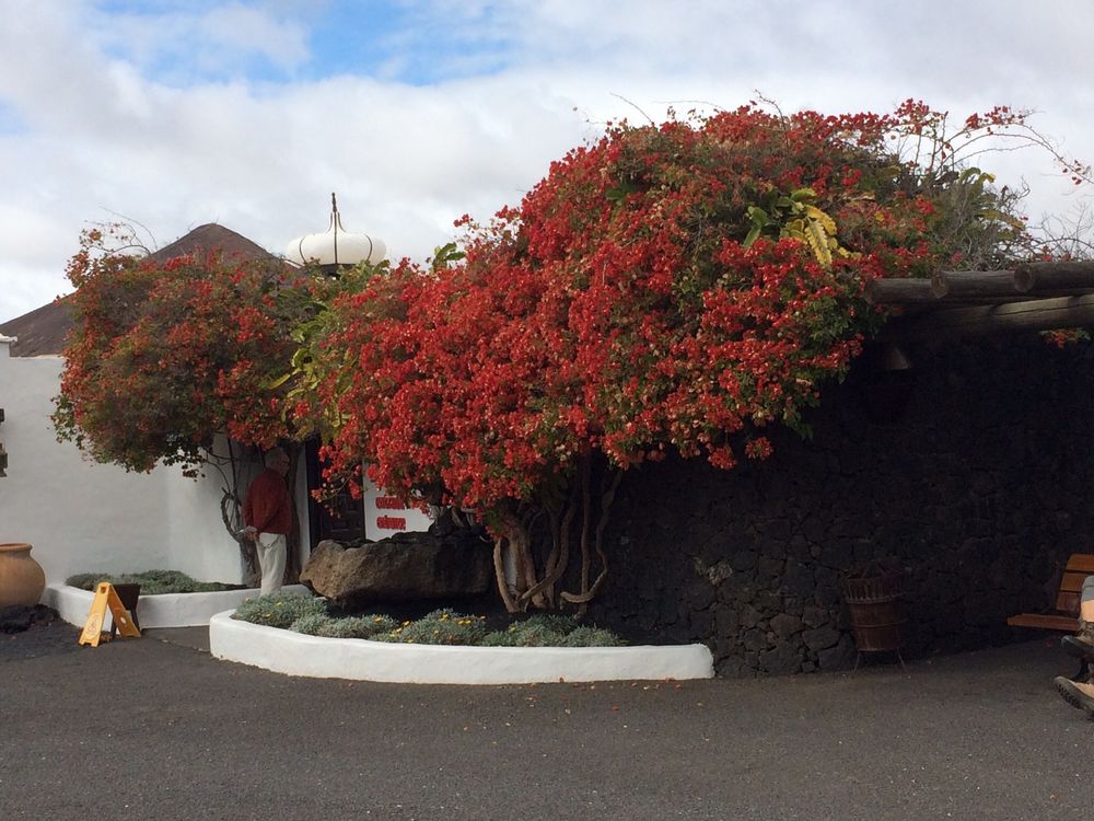 Bougainville