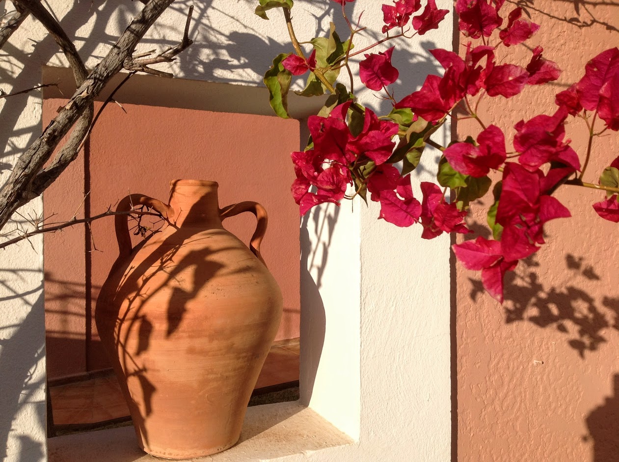 Bougainvillea Mallorca