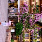 Bougainvillea Shops