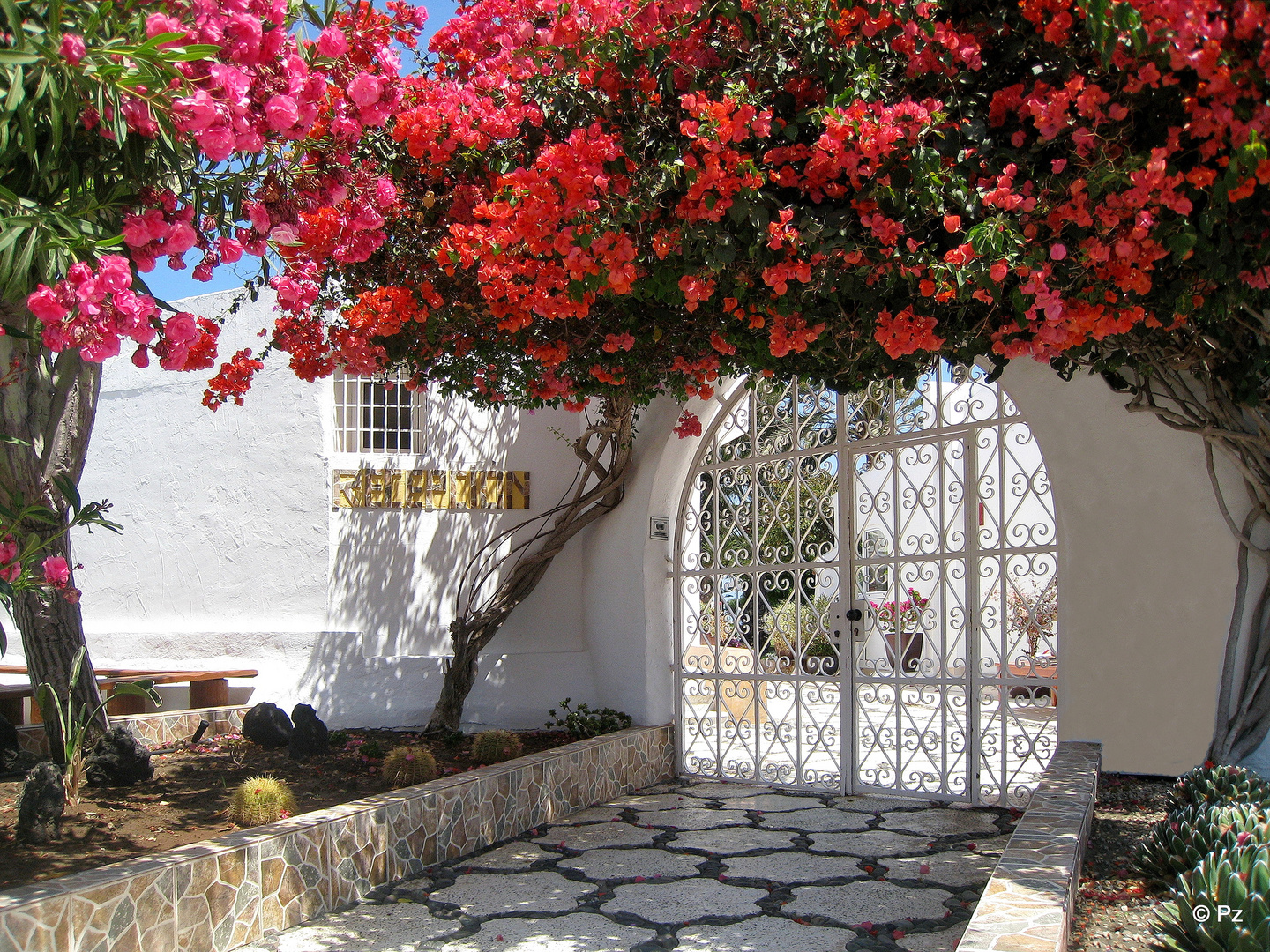 Bougainvilleen und Oleander schmücken den Eingang ...