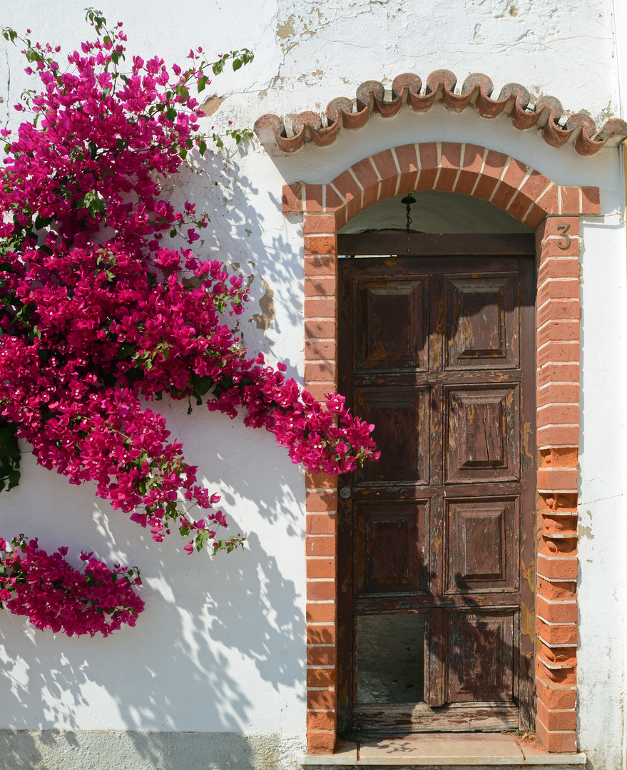 Bouganvillea an eingetretener Türe