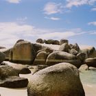 Boulder Beach, Suedafrika