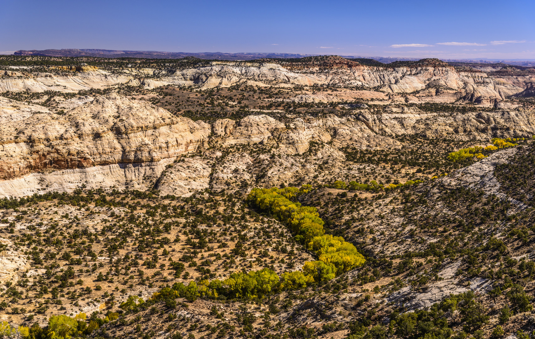 Boulder Creek Canyon, Utah, USA