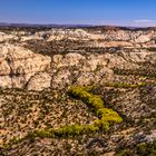 Boulder Creek Canyon, Utah, USA