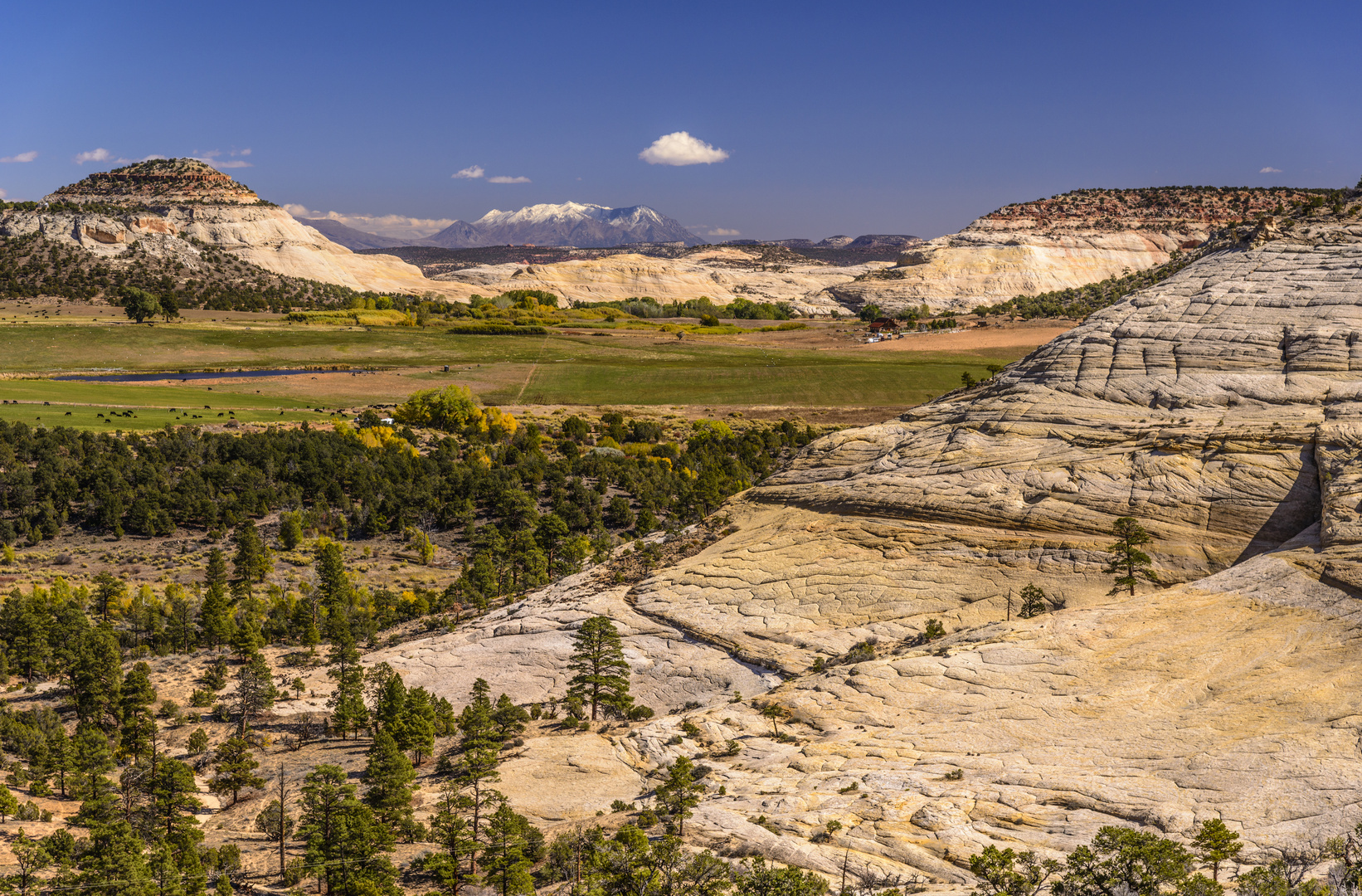 Boulder Creek Valley, Utah, USA