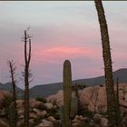 Boulder Fields - Baja California