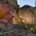 Bouldering in Arico / Tenerife