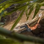 Bouldering in Tunte / Gran Canaria