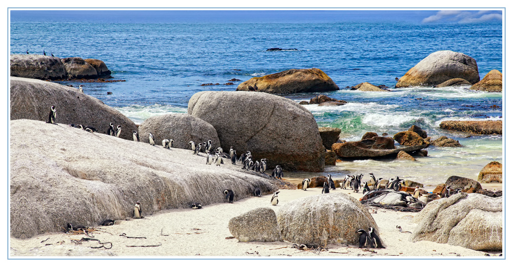 Boulders Bay Süd Africa