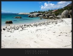 Boulders Beach