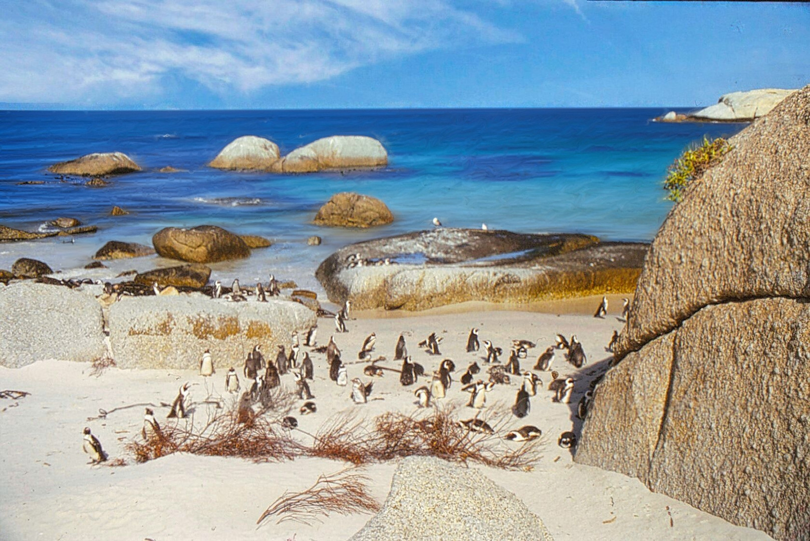 Boulders beach