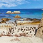 Boulders beach