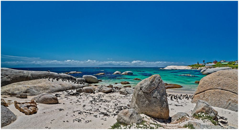 Boulders  Beach