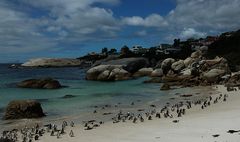 Boulders Beach