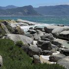 Boulders Beach