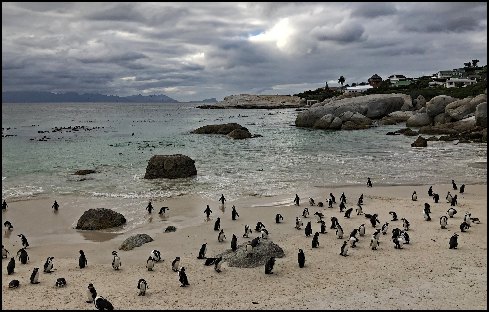 Boulders Beach