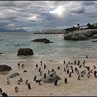 Boulders Beach