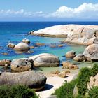 Boulders Beach