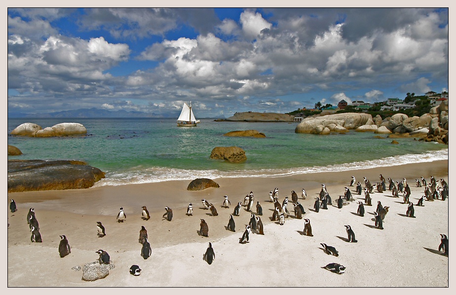 Boulders Beach