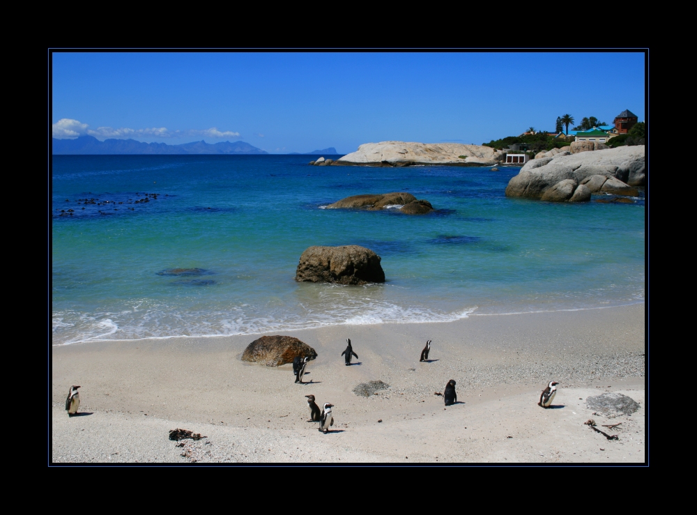 boulders beach