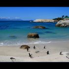 boulders beach