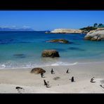 boulders beach