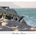 Boulders Beach