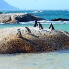 Boulders Beach, Simon's Town