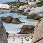 Boulders Beach und die Brillenpinguine