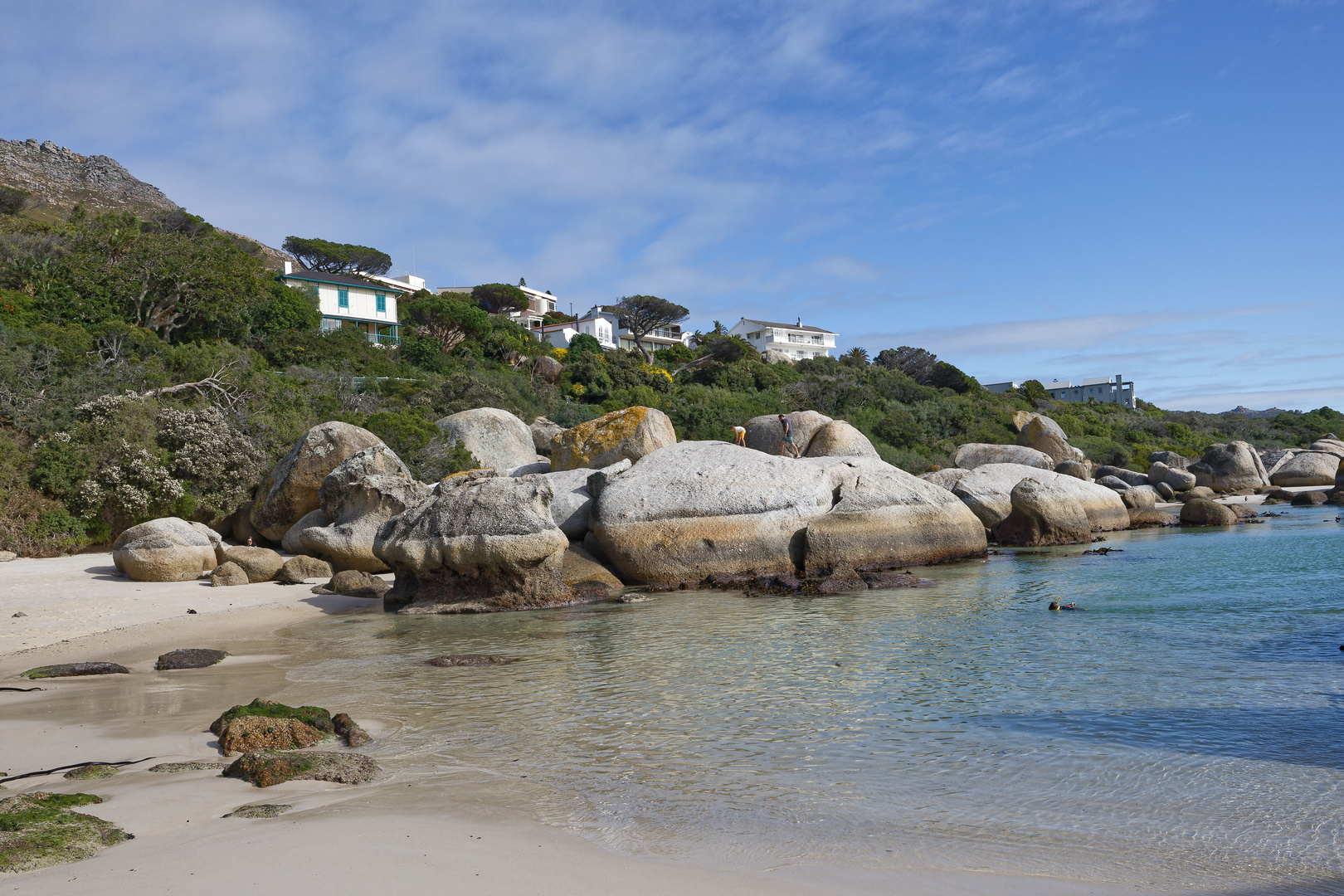 Boulders Beach_1