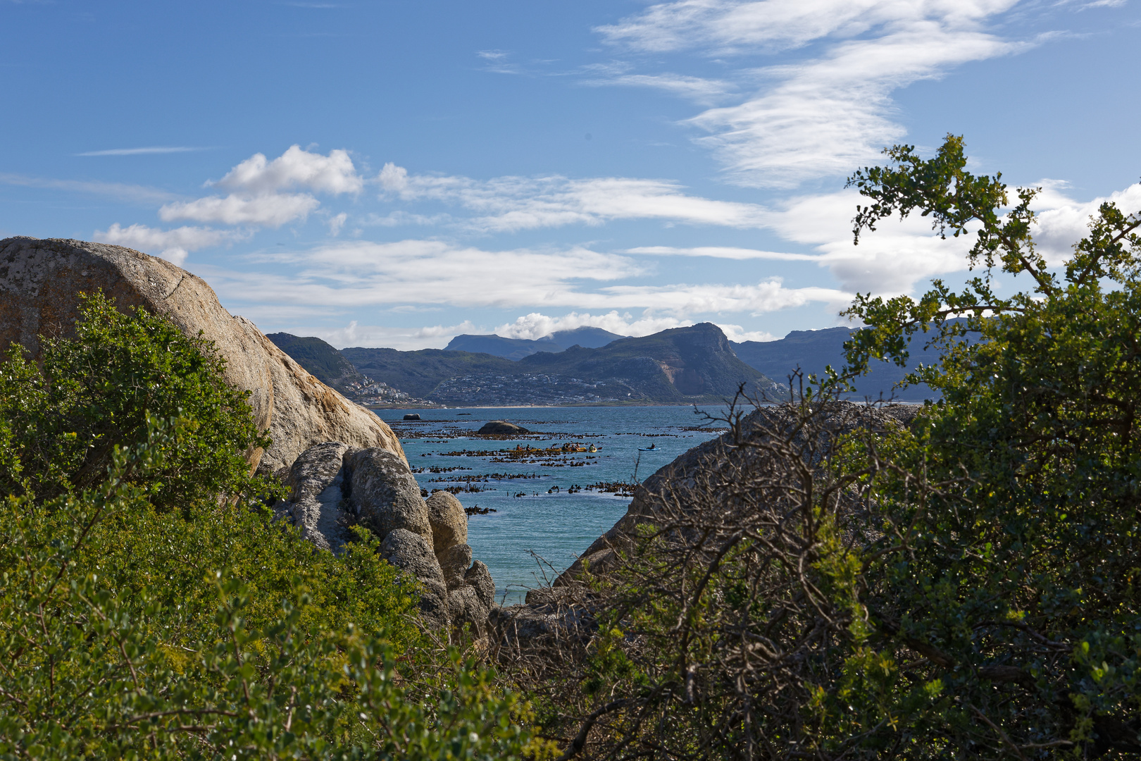 Boulders Beach_2